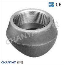 Stainless Steel Forged Insert Weldolet A182 (S31727, S32053)